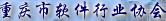 重庆软件行业协会